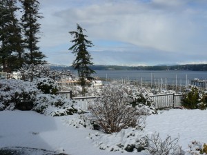 P10902532