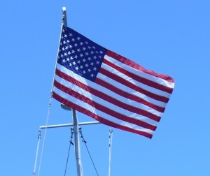 P11302761