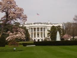 white house white house