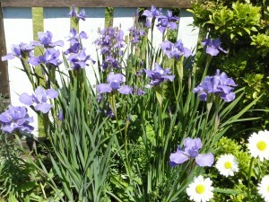 April-June 058