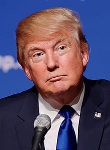 Dumbing Down With Donald Trump