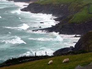 Irish