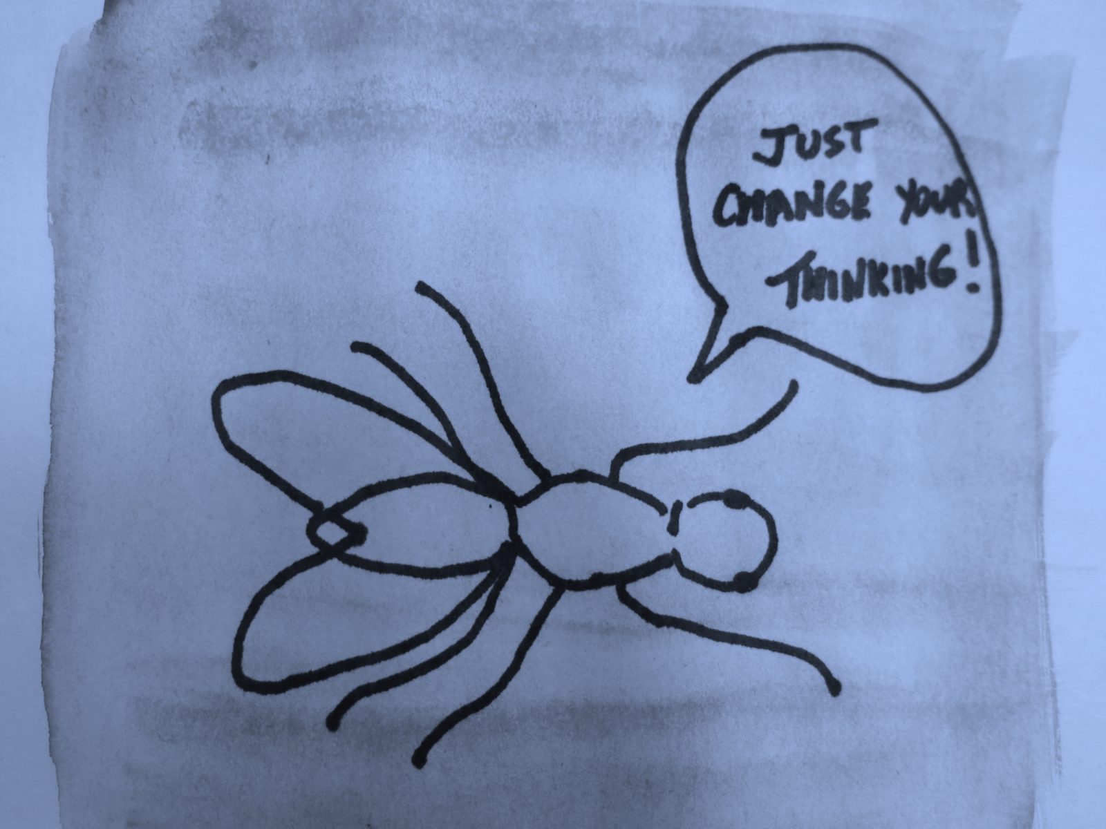 Inspired By A Fly