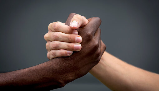 Black, White, and Brown Black, White, and Brown