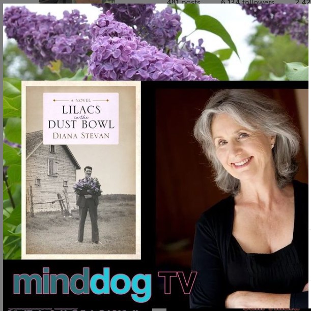 MindDogTV