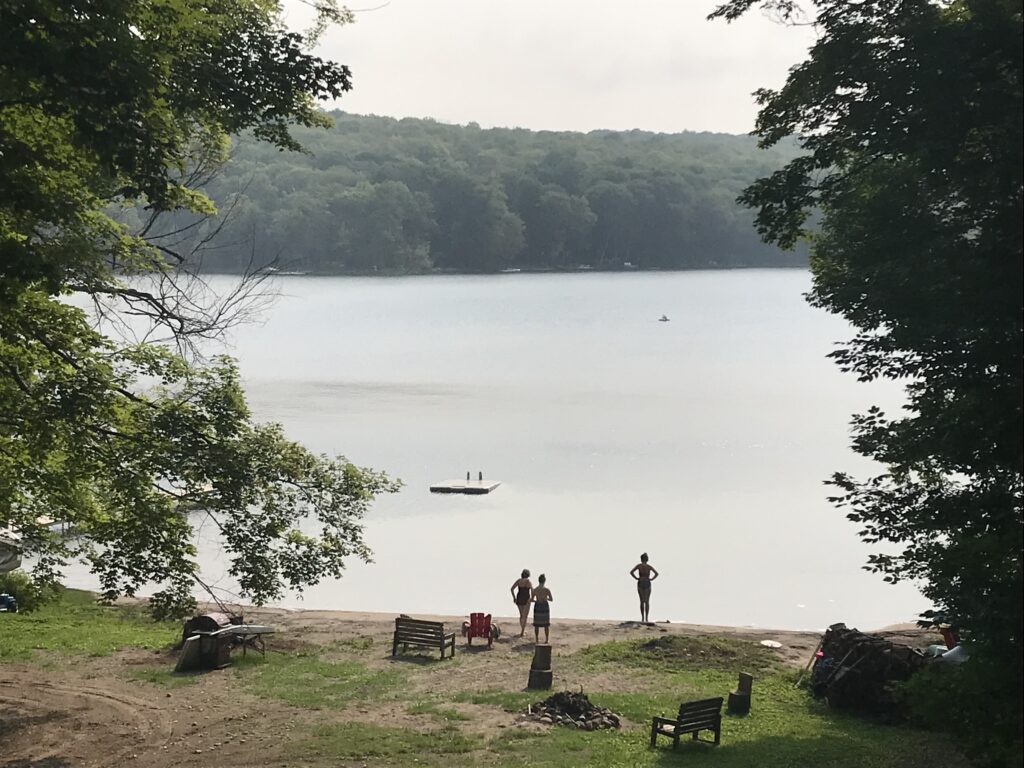 IMG 0542