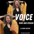 Finding Your Voice