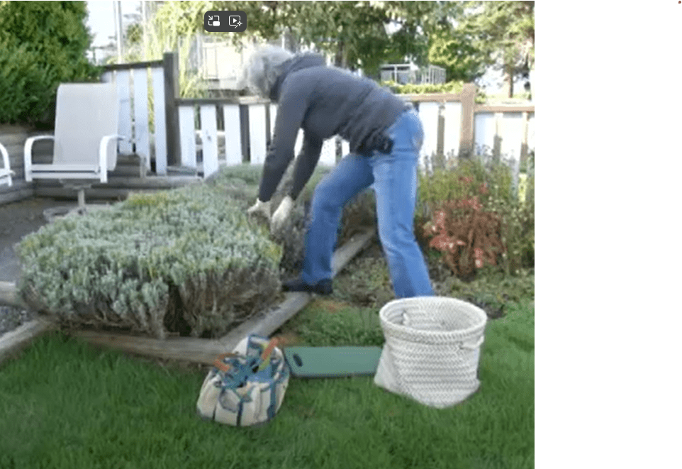 Gardening