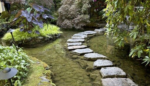 A Path Worth Taking