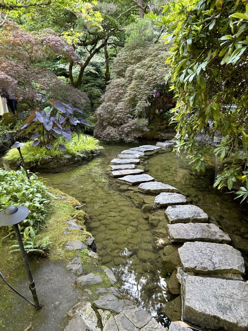 a path worth taking