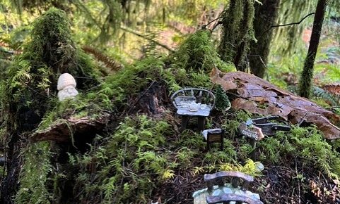 Treasures in the Forest